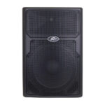 COLUMNA ACTIVA PEAVEY PVXP 15 DSP 120US D