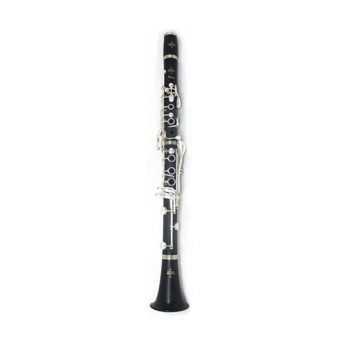 CLARINETE BUFFET CRAMPON PRODIGE SP BC2541-2-0GB