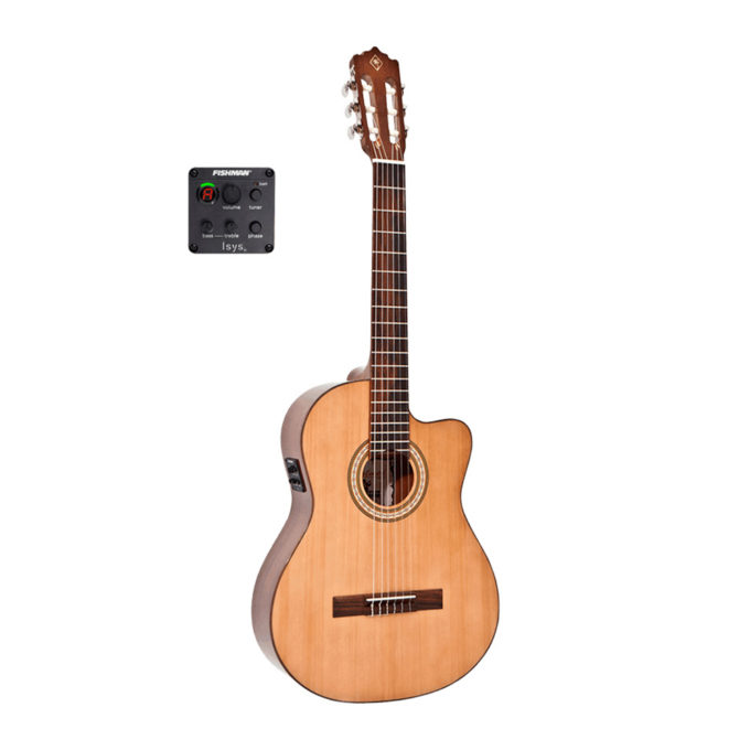 GUITARRA ELECTROACUSTICA PALMER TANIS CEQ NI