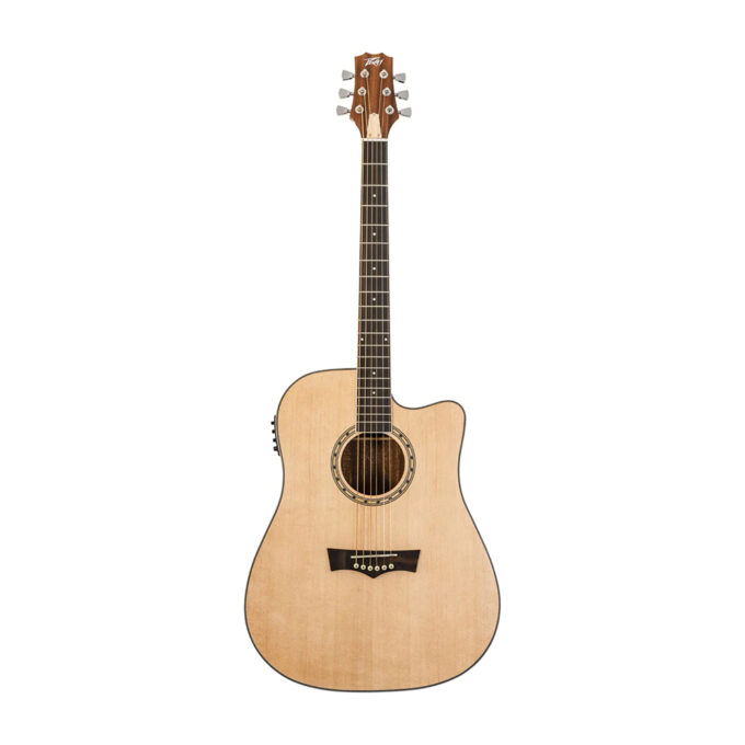 GUITARRA ELECTROACUSTICA PEAVEY DW 2CE ST DELTA WOODS CON FUNDA